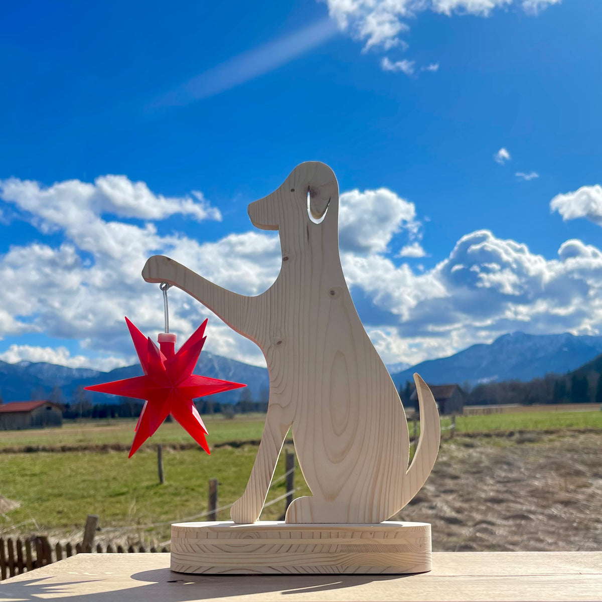 Holzhund mit Vorbereitungen für Leuchtstern - Sterne in Holz